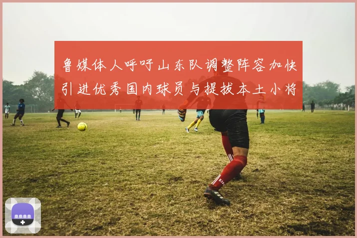鲁媒体人呼吁山东队调整阵容加快引进优秀国内球员与提拔本土小将