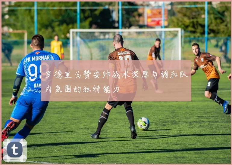 罗德里戈赞安帅战术深厚与调和队内氛围的独特能力
